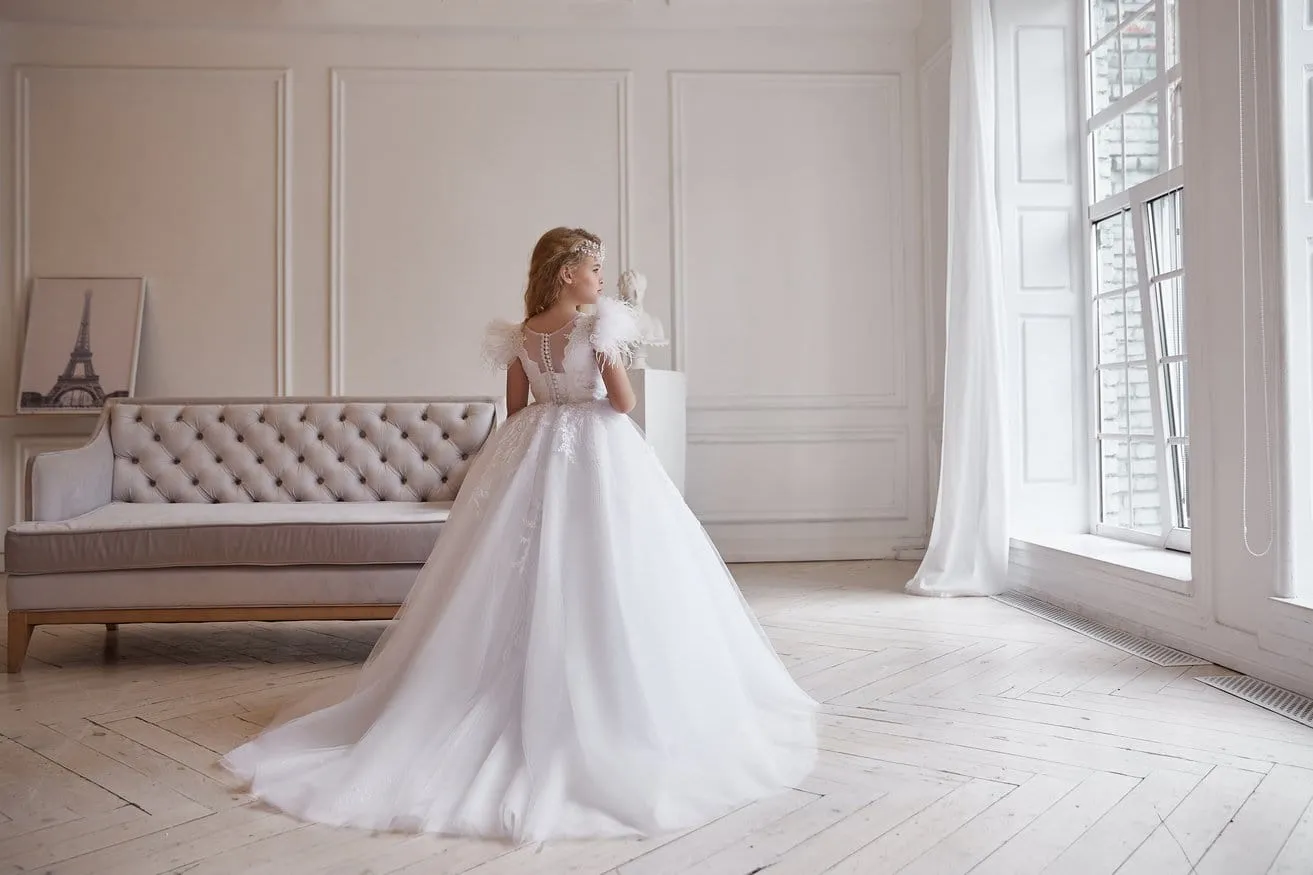 AB045 Ball Gown with Feathered Cap Sleeves