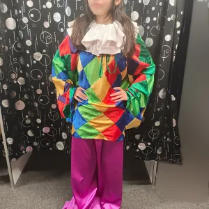 Carnival Clown - Hire