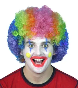Clown Afro Rainbow Wig Circus Fancy Dress Accessory
