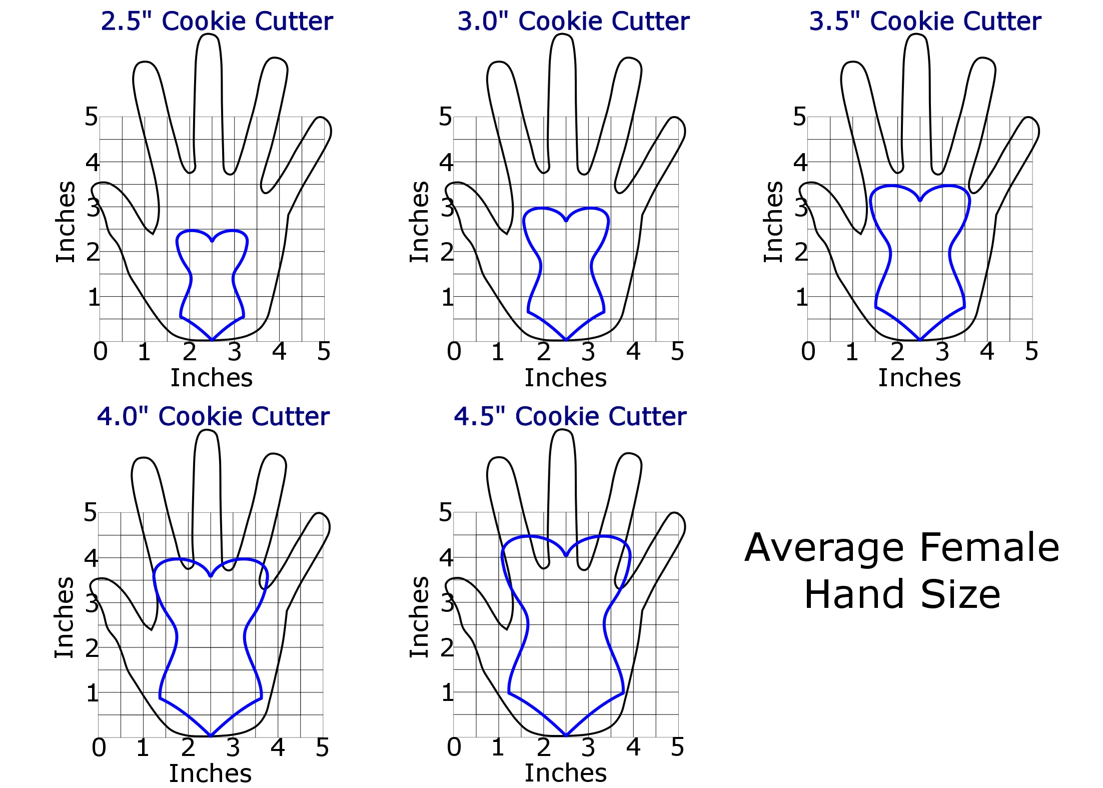 Corset Cookie Cutter
