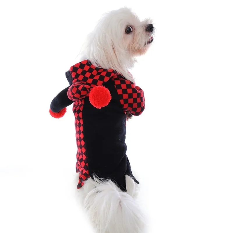 Dog's Jester Costume