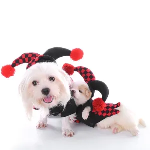 Dog's Jester Costume
