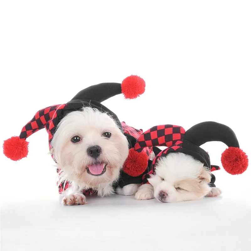 Dog's Jester Costume