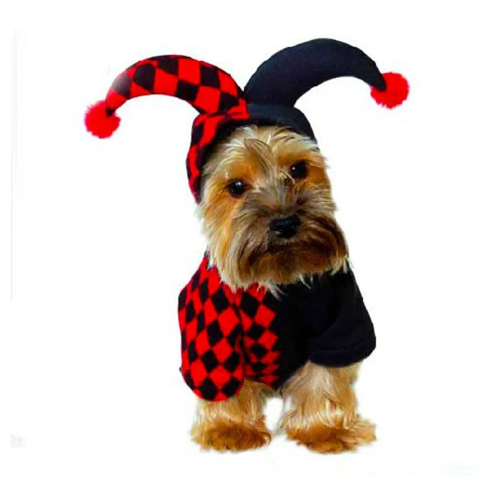Dog's Jester Costume