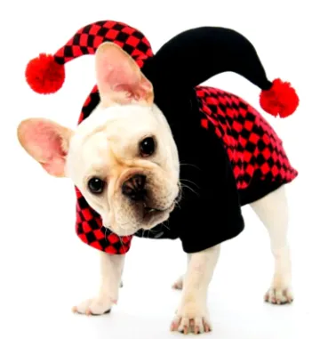 Dog's Jester Costume