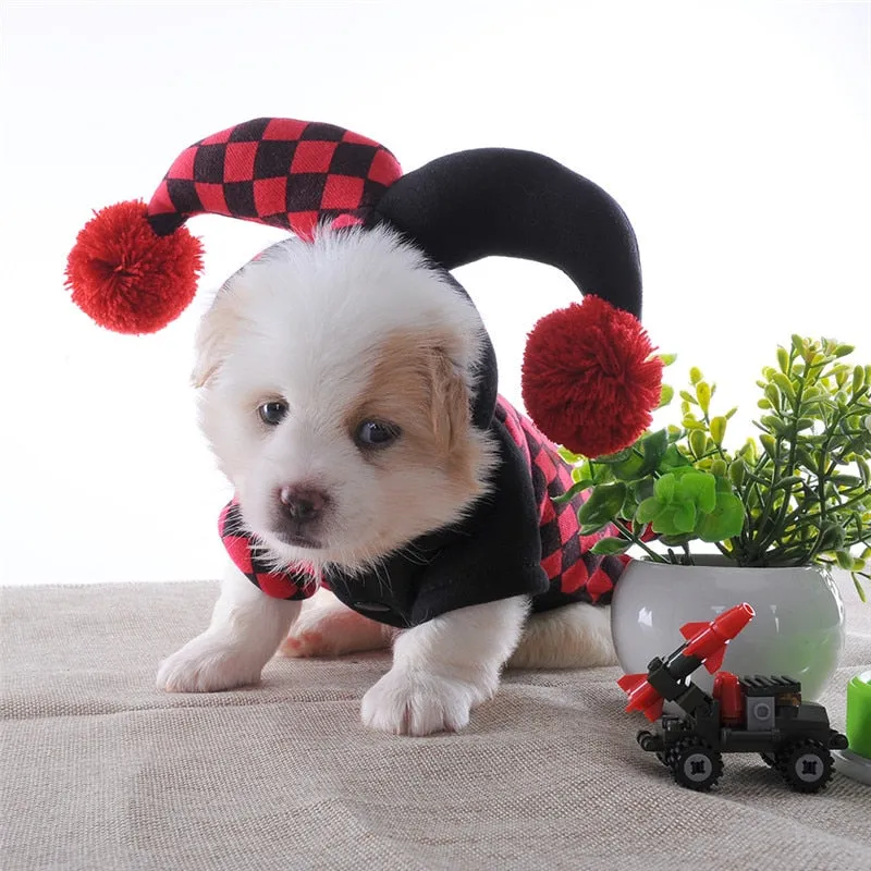 Dog's Jester Costume