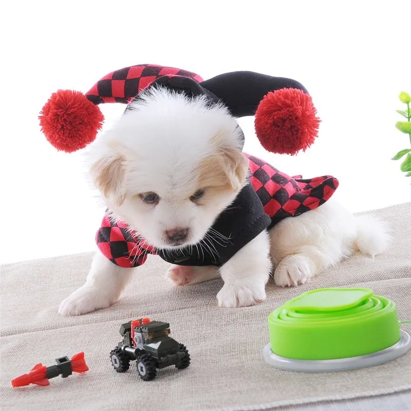 Dog's Jester Costume