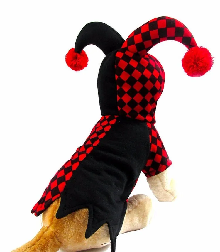 Dog's Jester Costume