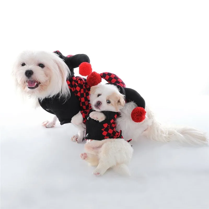 Dog's Jester Costume