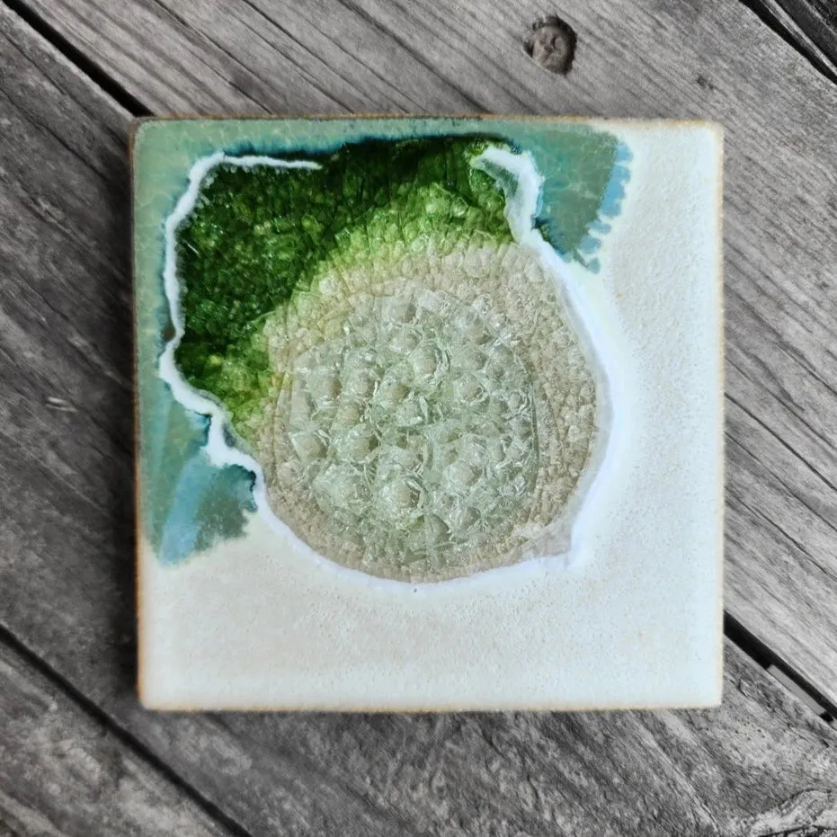 Geode Coaster