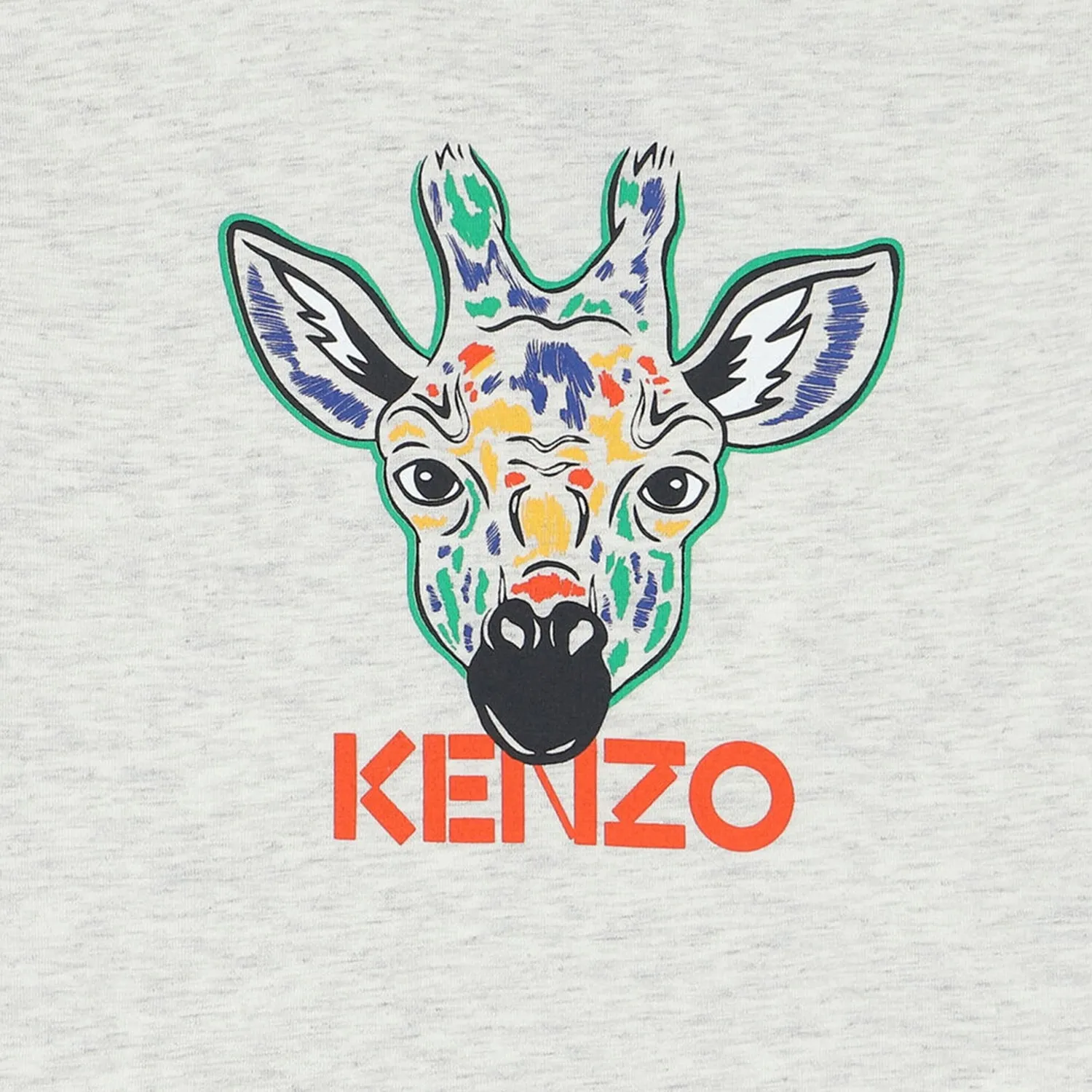 Kid's Giraffe Short Sleeves T Shirt