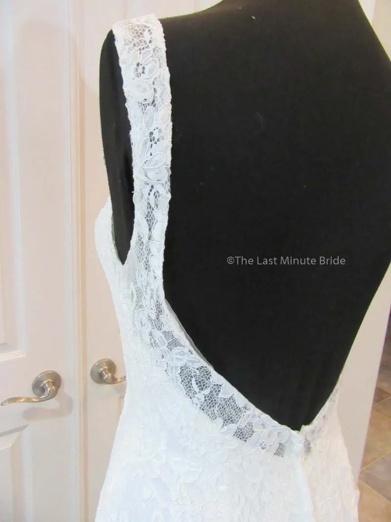 Moonlight PB6487 w/detachable tulle skirt