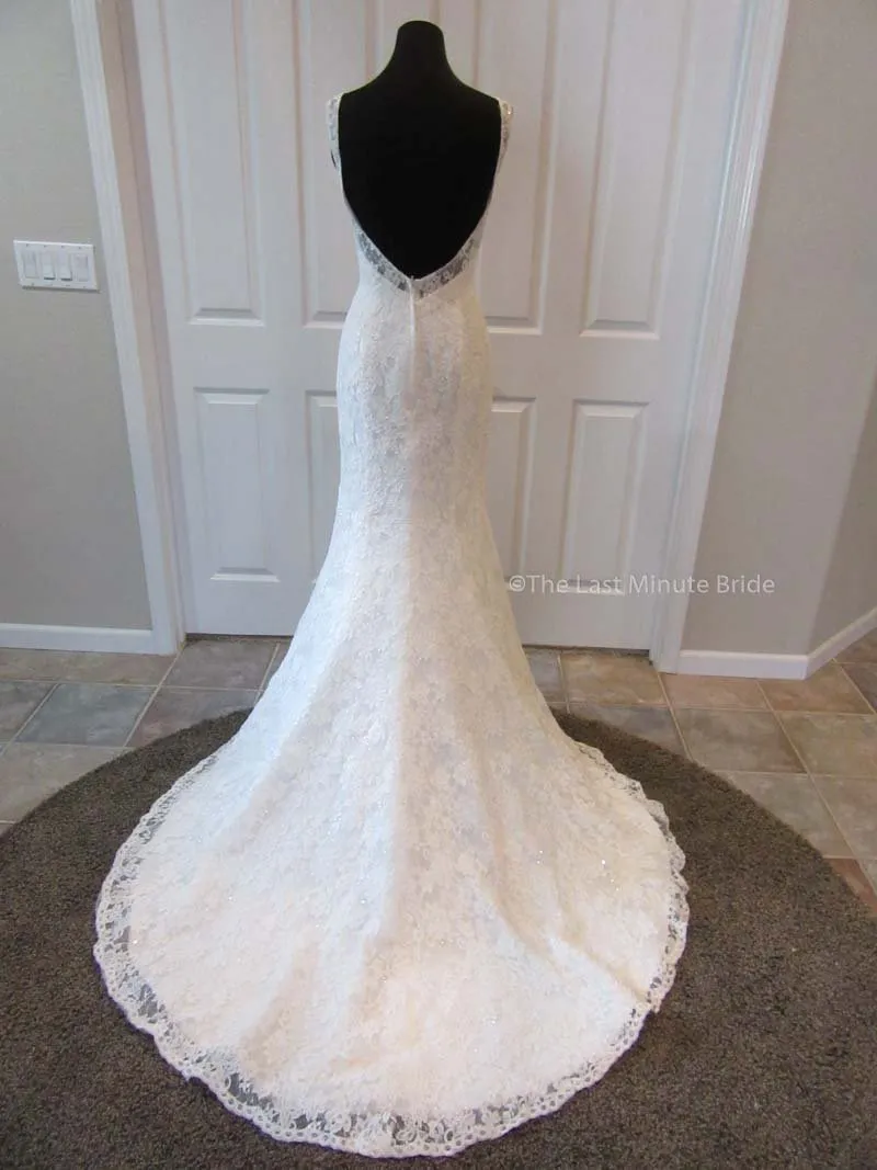 Moonlight PB6487 w/detachable tulle skirt