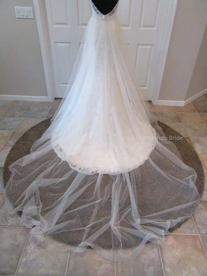 Moonlight PB6487 w/detachable tulle skirt
