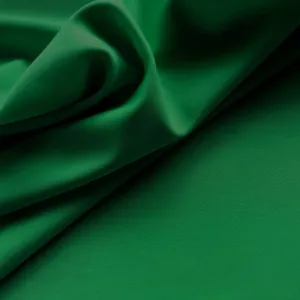 Recycled  Vita Econyl Nylon Lycra - Iguana