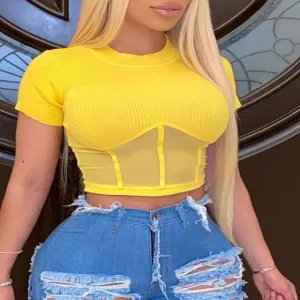 Ruby Ribbed Round Neck Mesh Top