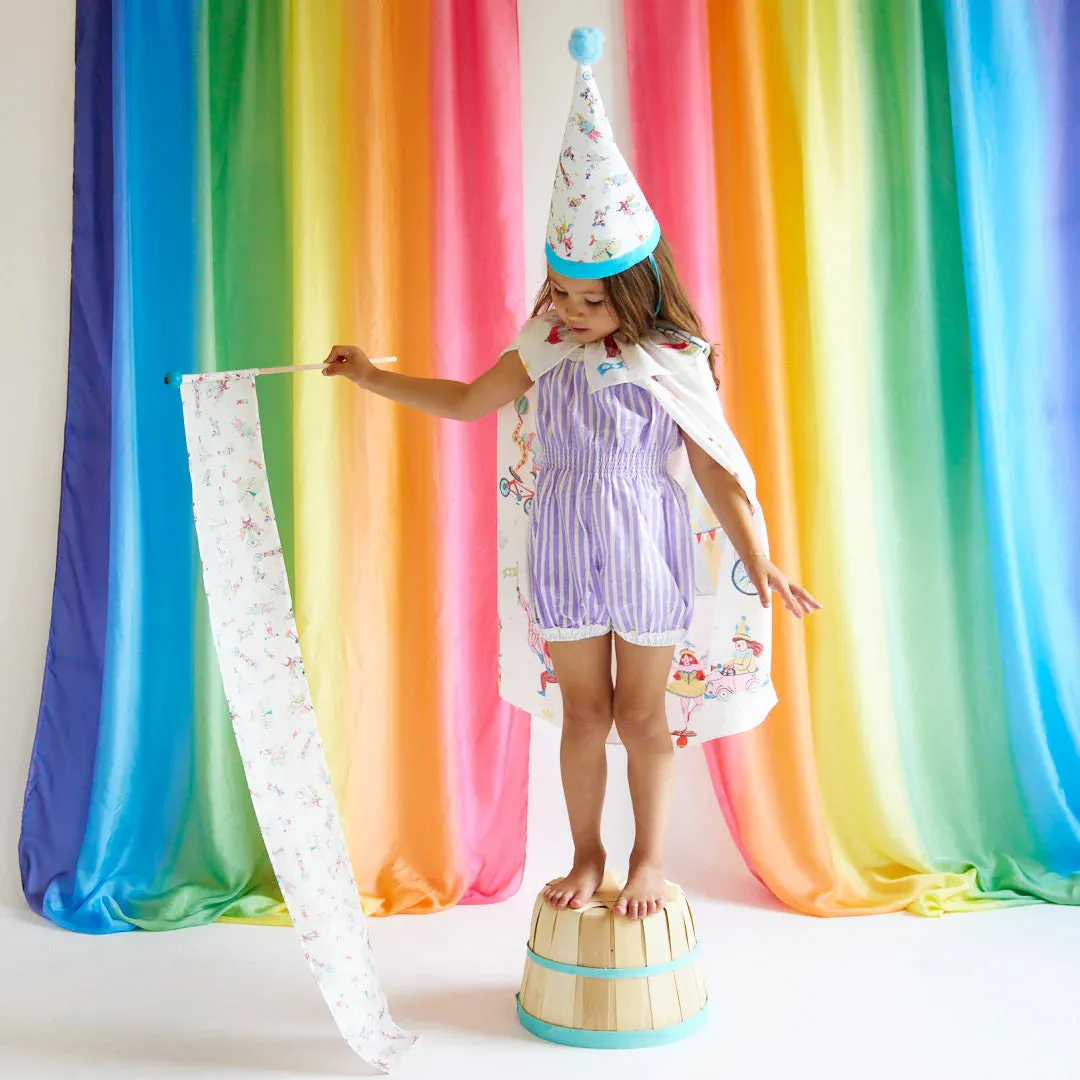 Sarah's Silks Hat - Circus