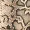Snake Print Ruched One Shoulder Bodysuit