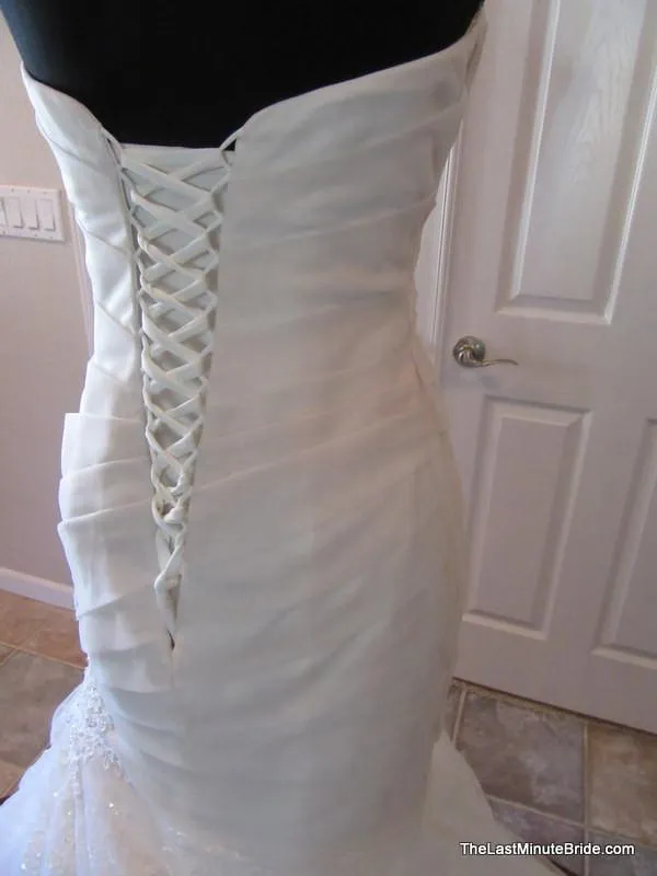 Sophia Tolli Y21375 Camellia