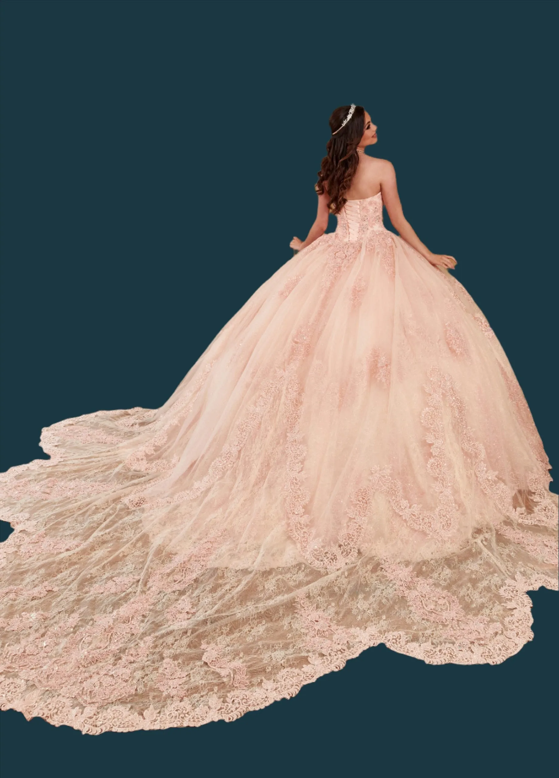 Strapless Glitter Tulle & Lace Ballgown
