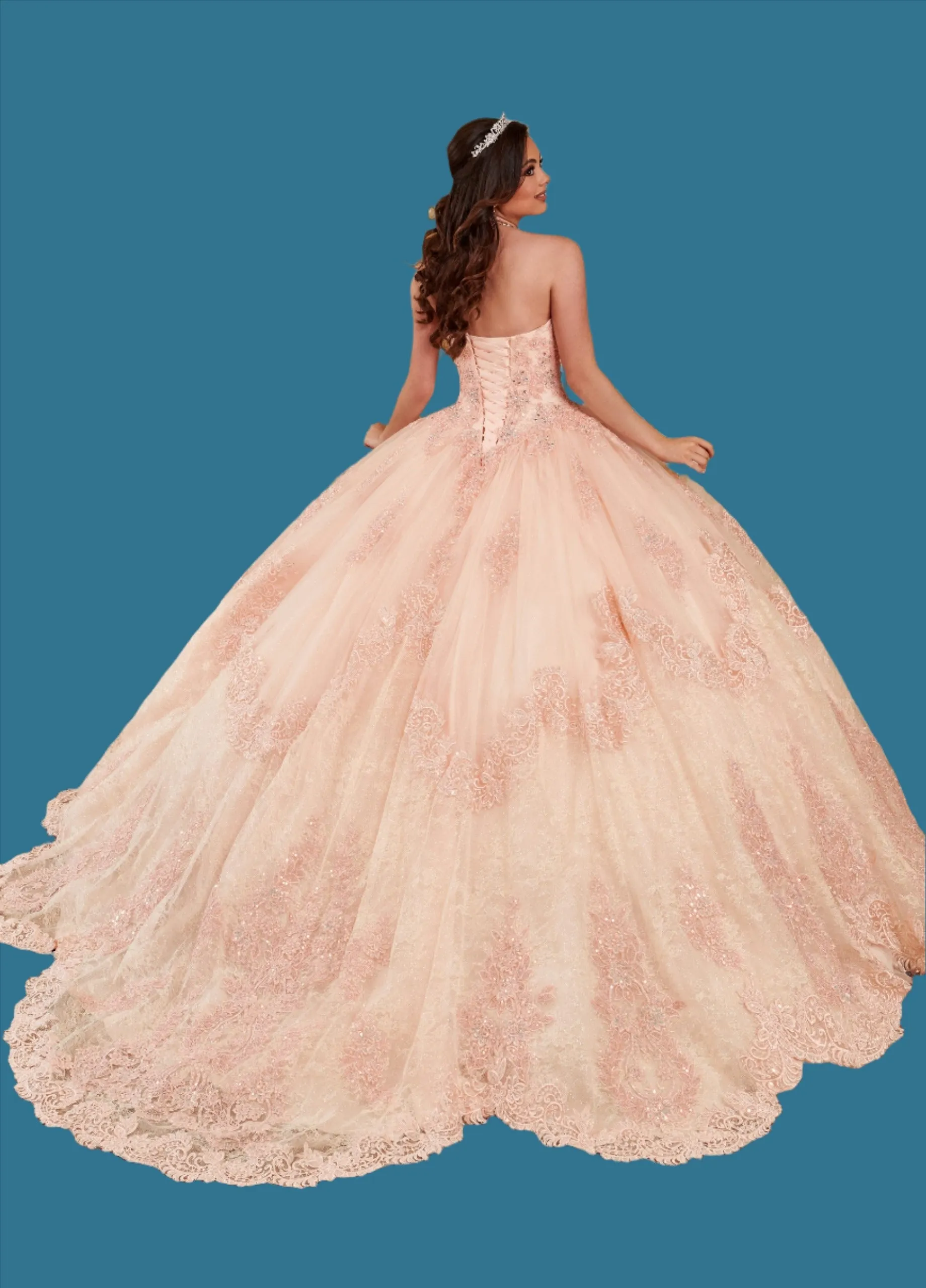 Strapless Glitter Tulle & Lace Ballgown
