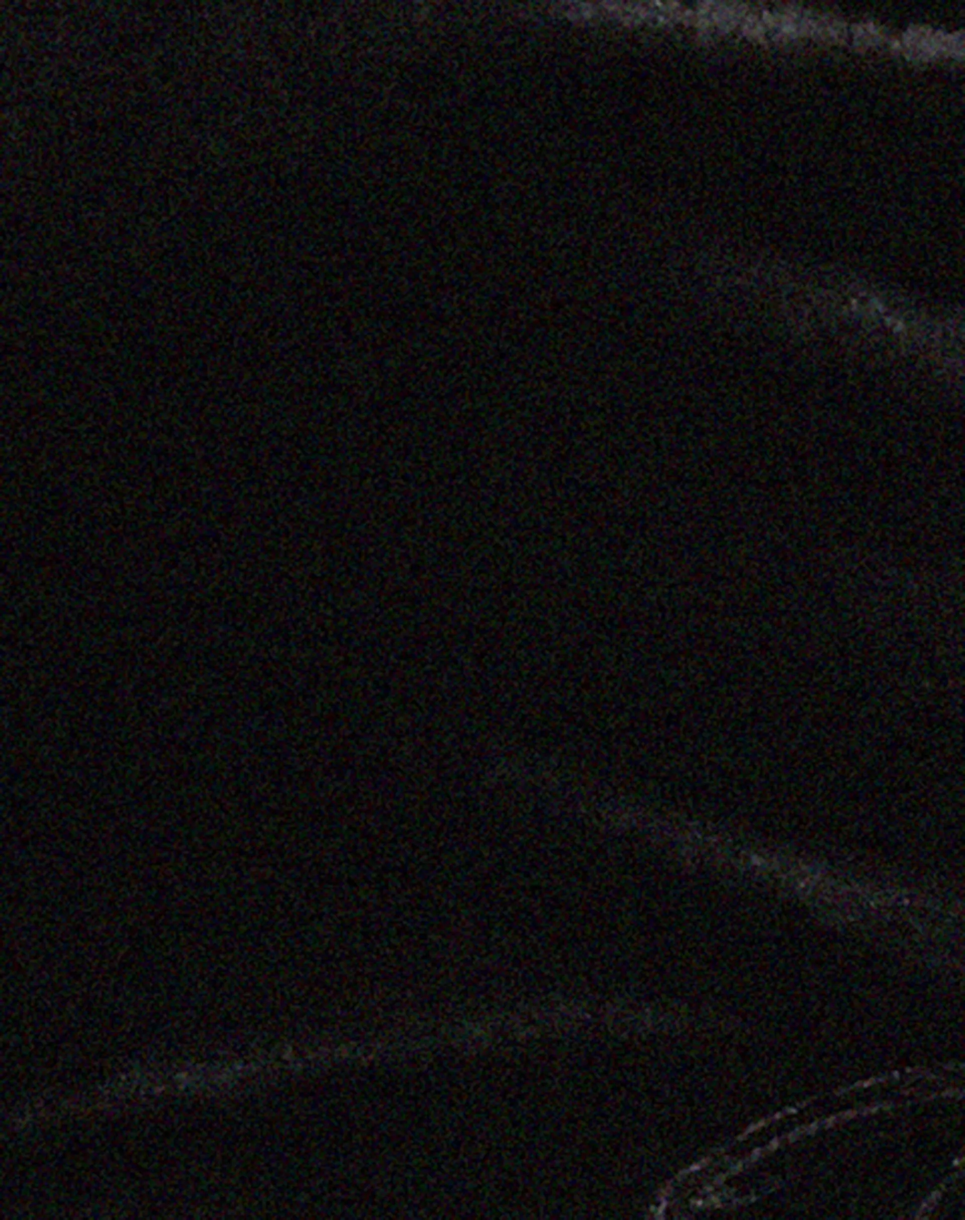 Taula Cropped Corset Top in Black Velvet