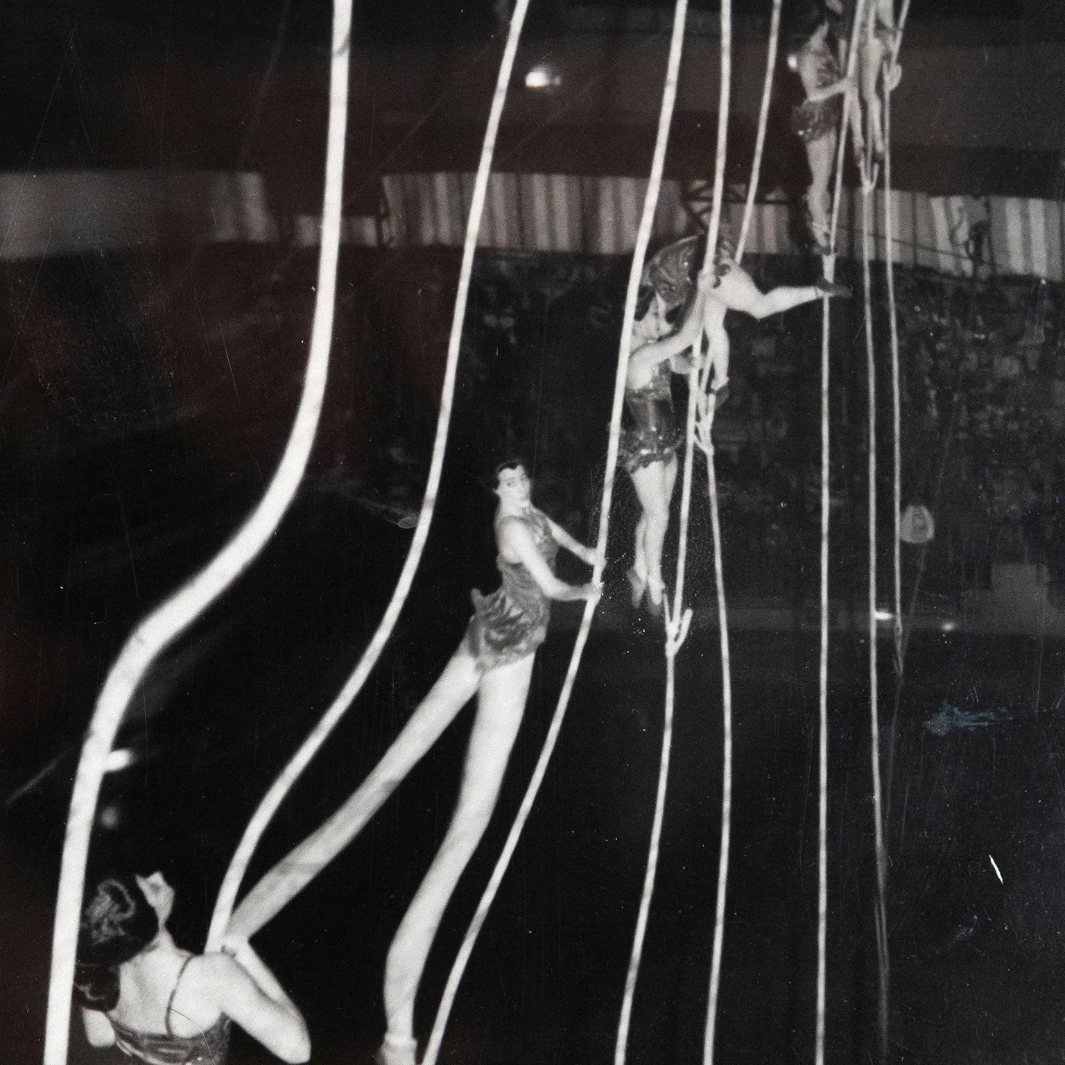WEEGEE "TIGHTROPE LADIES" PHOTO, C.1950